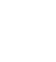 The Golden Duck Co.